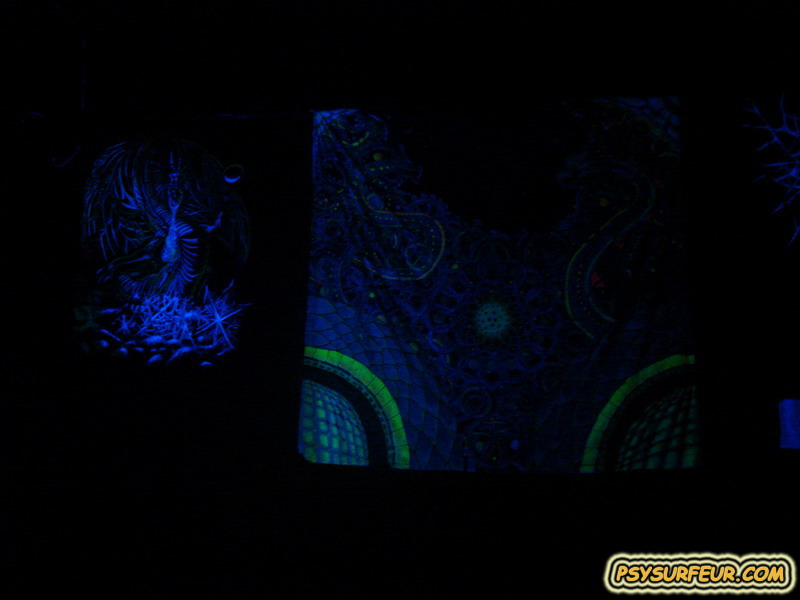 Photo Trance Goa